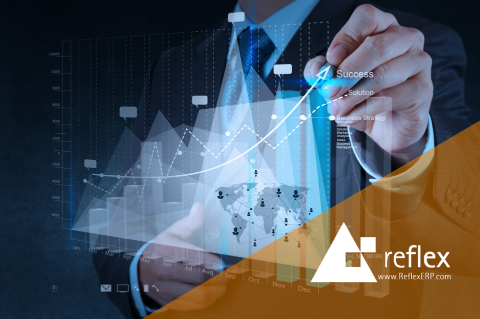 screenshot of Reflex ERP